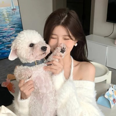 南风知我意 封面