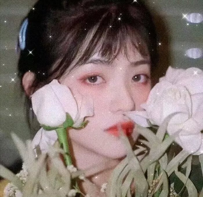 渔枪 封面